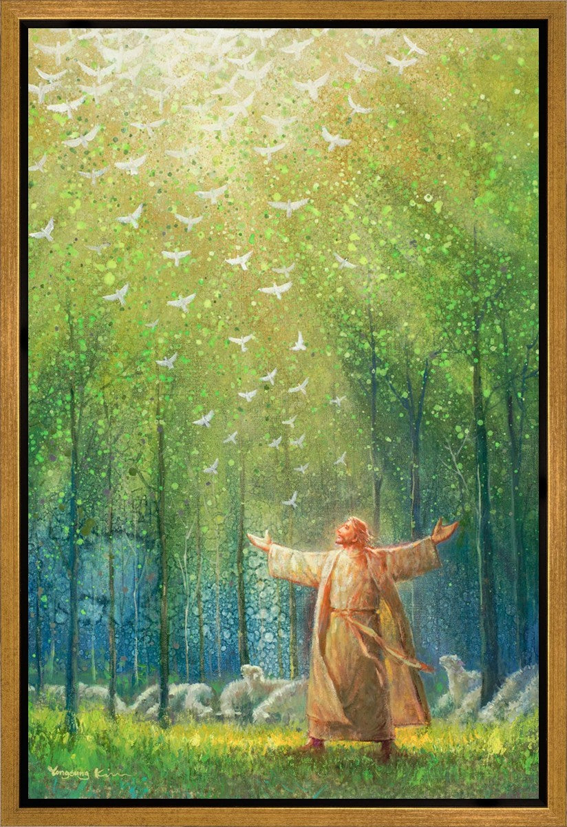 A New Light Shining