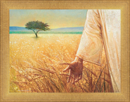 Wheat and Tares