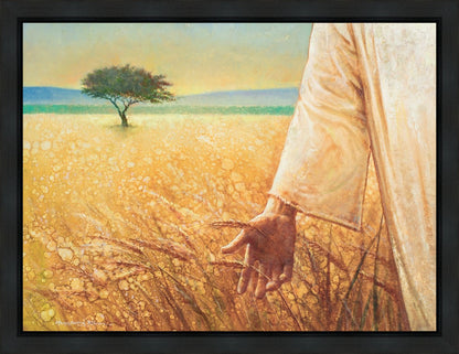 Wheat and Tares