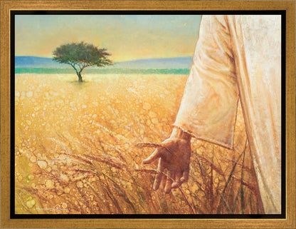 Wheat and Tares