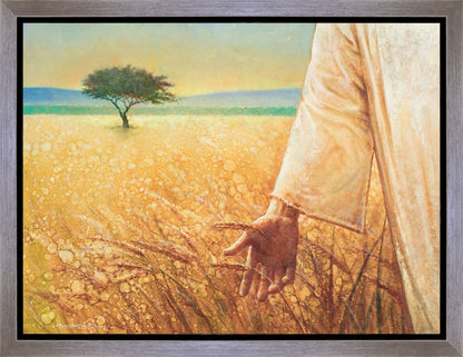 Wheat and Tares