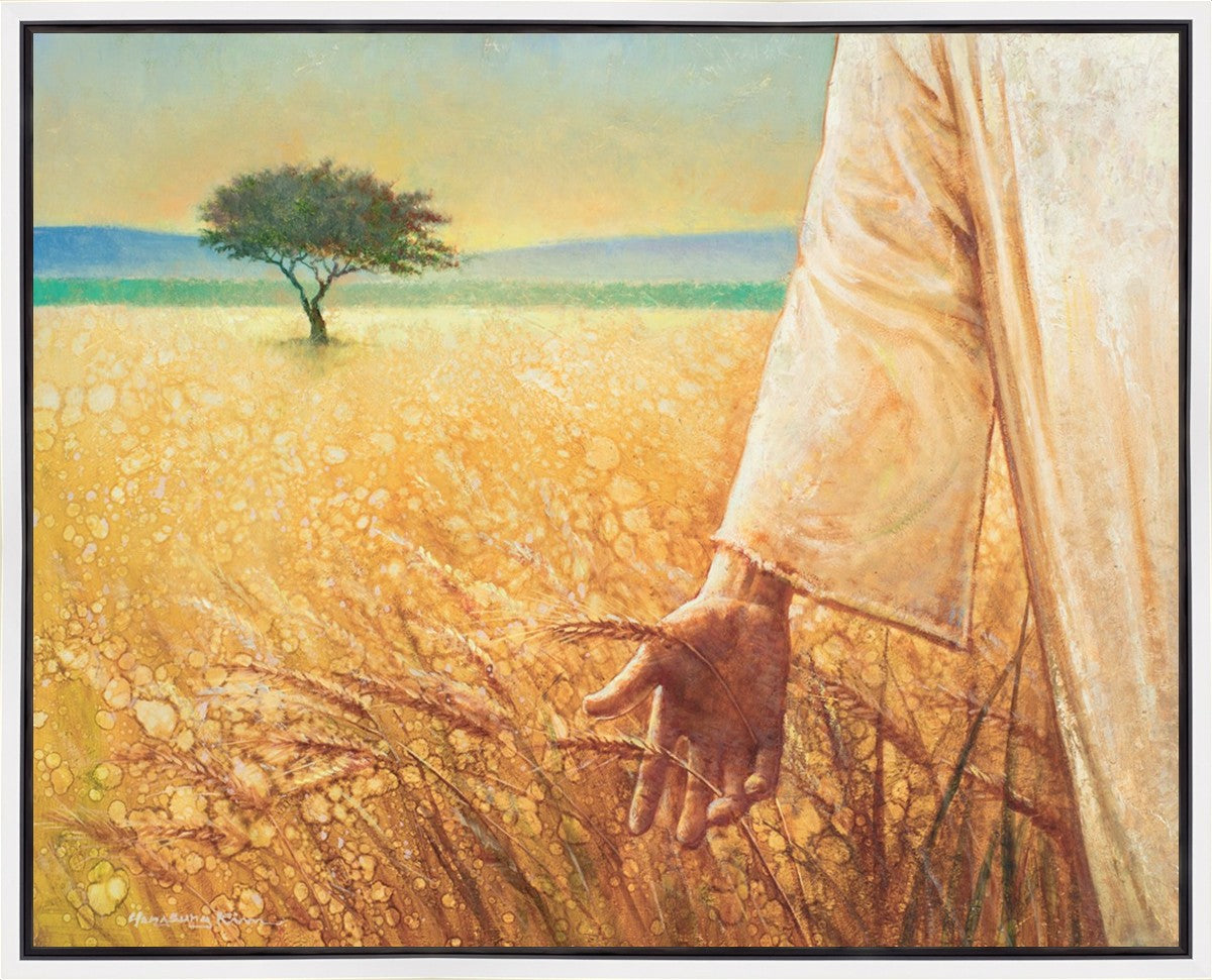 Wheat and Tares