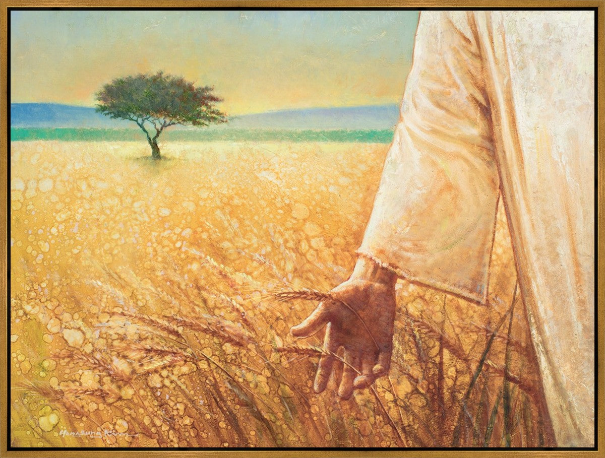 Wheat and Tares