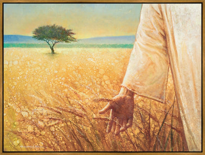 Wheat and Tares