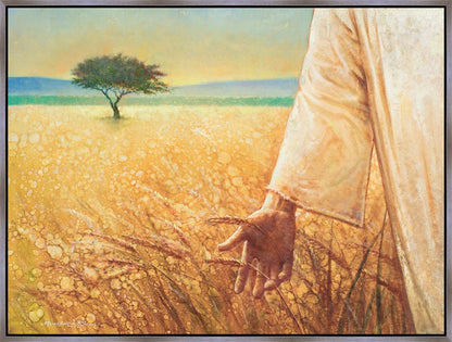 Wheat and Tares