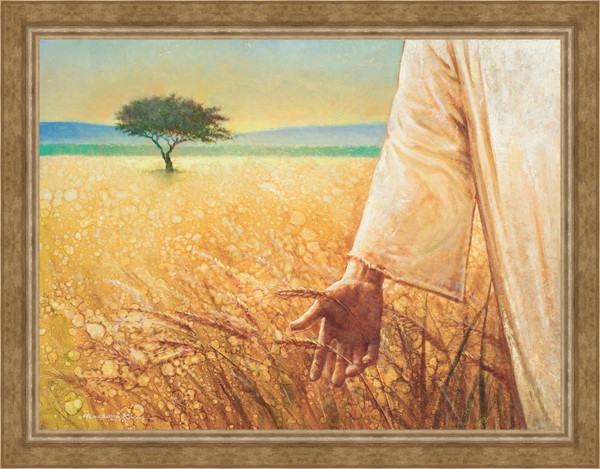 Wheat and Tares