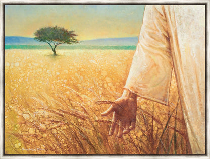 Wheat and Tares