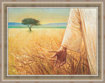 Wheat and Tares