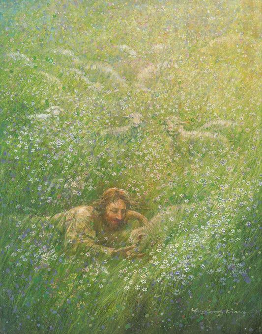 We Are All Wildflowers