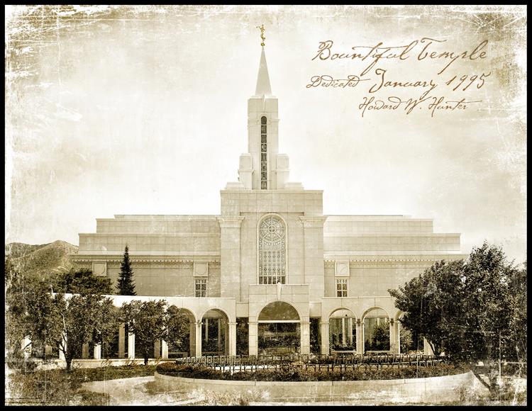 Bountiful Vintage