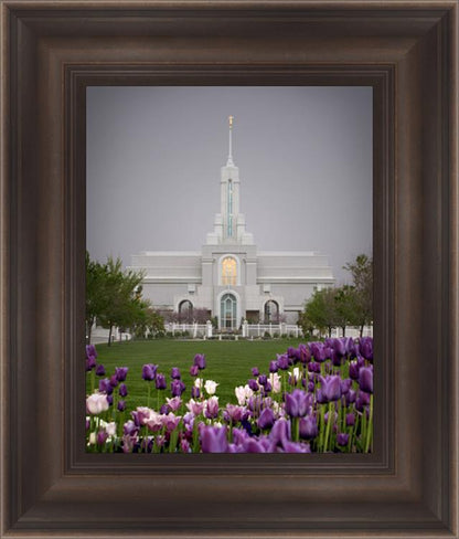 Mt Timp Tulips