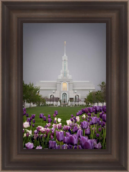 Mt Timp Tulips