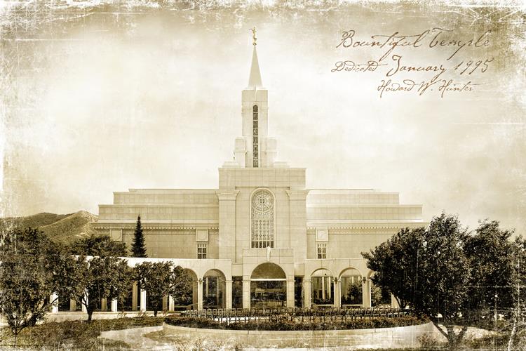 Bountiful Vintage