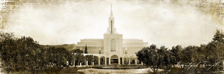 Bountiful Vintage