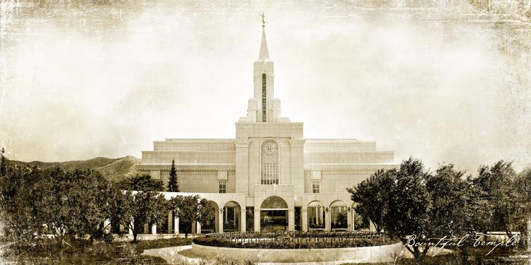 Bountiful Vintage