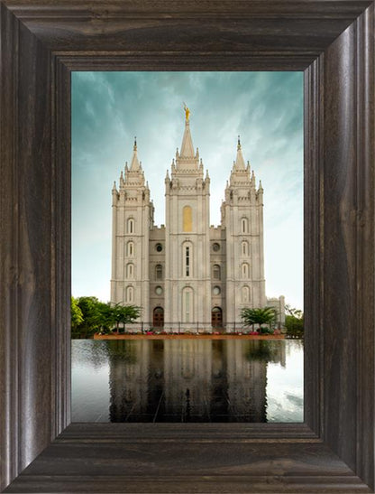 Salt Lake Reflections After The Storm