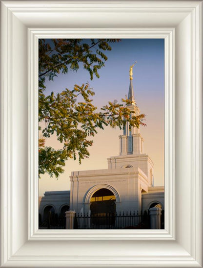 Sacramento Close Crop