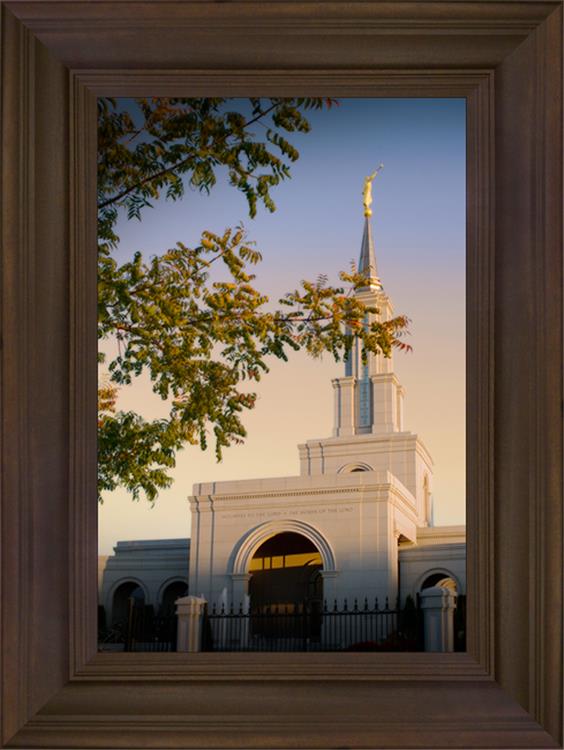 Sacramento Close Crop