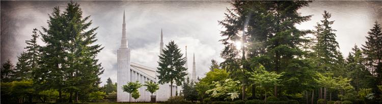 Portland, The Day Dawn Is Breaking