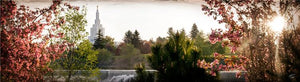 Idaho Falls II, The Day Dawn Is Breaking