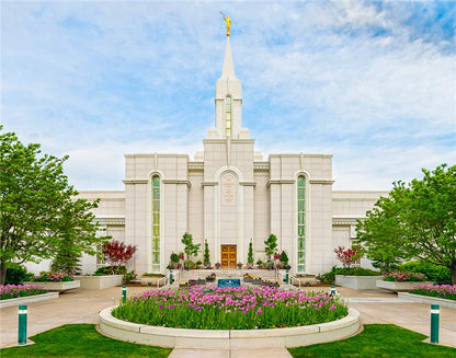 Bountiful Spring