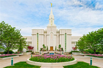 Bountiful Spring