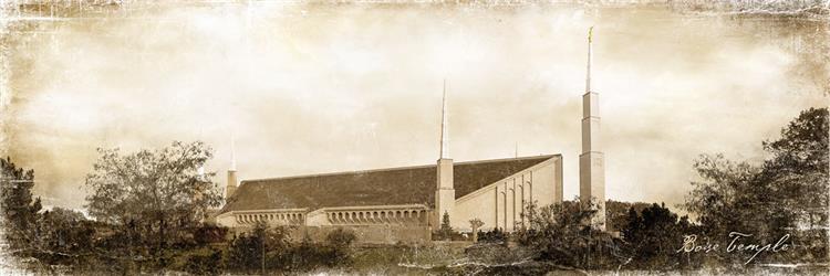 Boise Vintage (New)