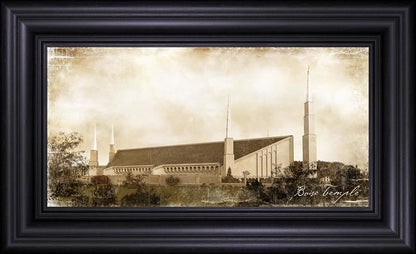 Boise Vintage (New)