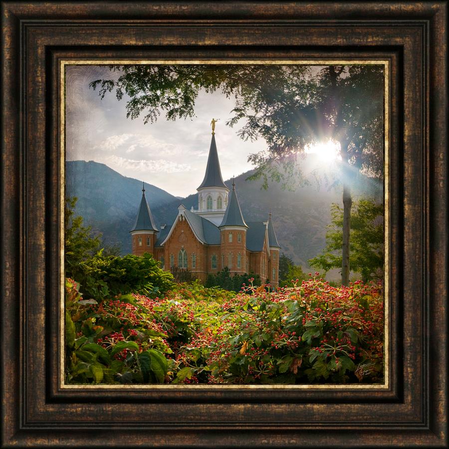 Provo CC Brightness and Glory