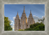 Salt Lake City Utah Temple In His Light