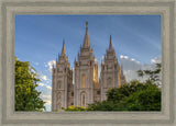 Salt Lake City Utah Temple In His Light