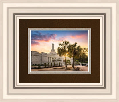 Columbia Palmetto Sunset