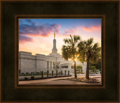 Columbia Palmetto Sunset