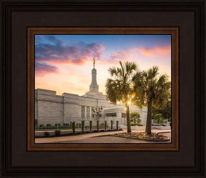 Columbia Palmetto Sunset