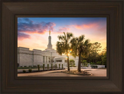 Columbia Palmetto Sunset