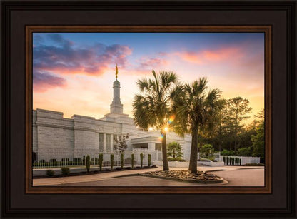 Columbia Palmetto Sunset