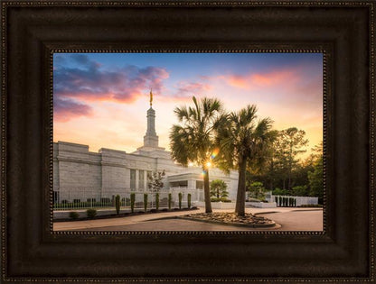 Columbia Palmetto Sunset