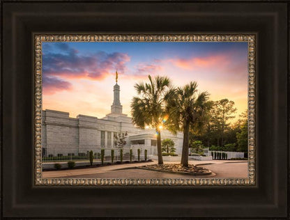 Columbia Palmetto Sunset