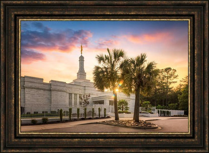 Columbia Palmetto Sunset