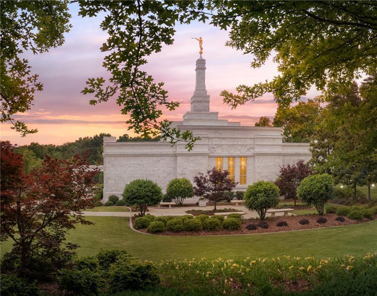 Birmingham Garden
