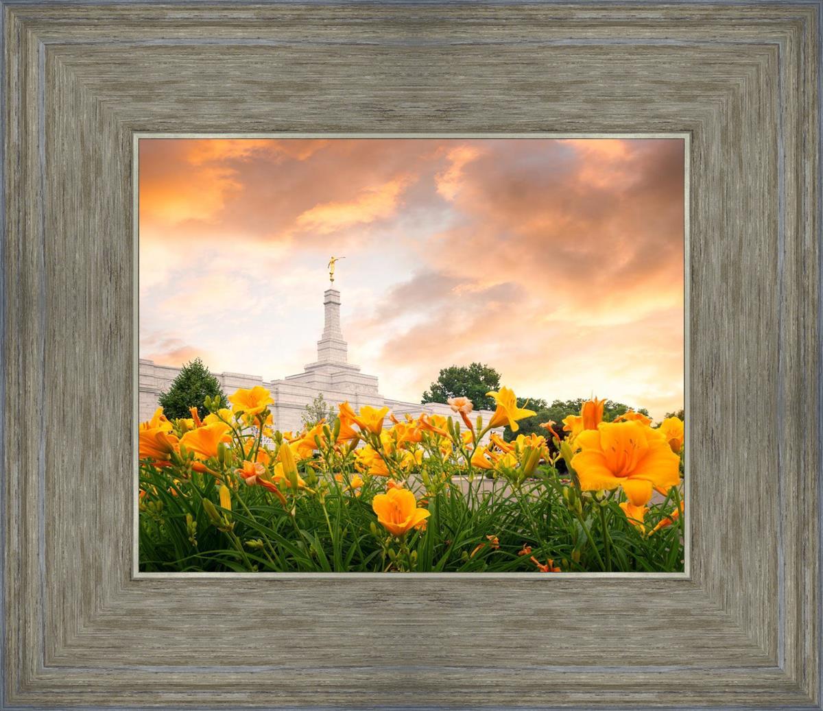 Detroit Flowers