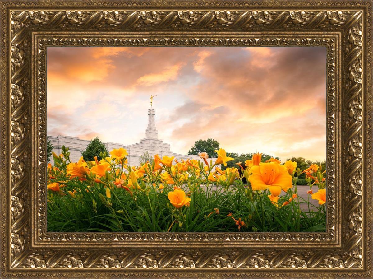 Detroit Flowers
