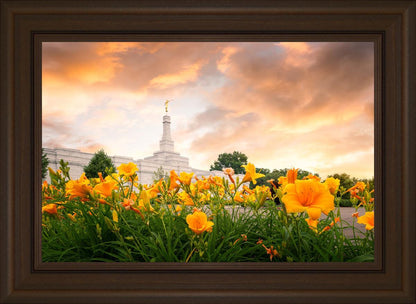 Detroit Flowers