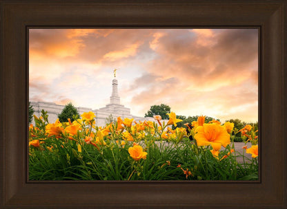 Detroit Flowers