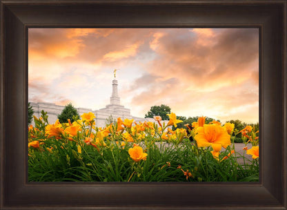 Detroit Flowers