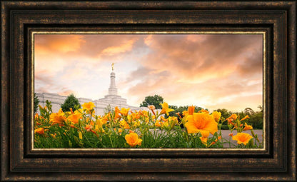 Detroit Flowers