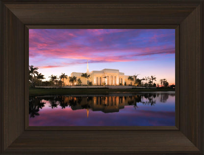 Fort Lauderdale Pink Sunrise