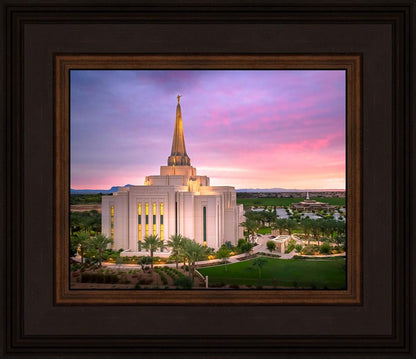 Gilbert Pink Sunrise