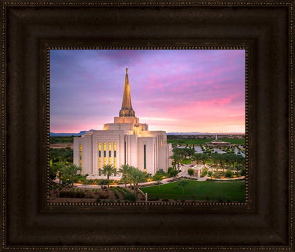 Gilbert Pink Sunrise
