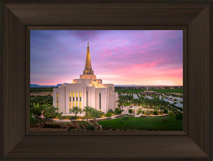 Gilbert Pink Sunrise